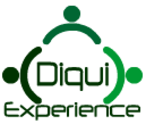 DiquiExperience
